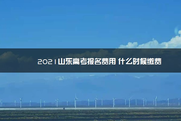 2021山东高考报名费用 什么时候缴费