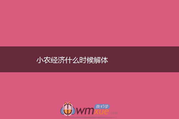 小农经济什么时候解体