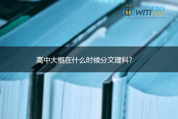 高中大概在什么时候分文理科?