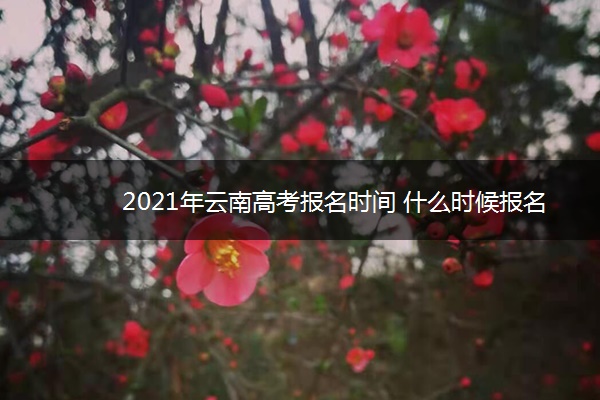 2021年云南高考报名时间 什么时候报名