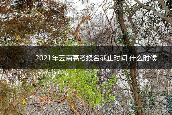 2021年云南高考报名截止时间 什么时候停止报名