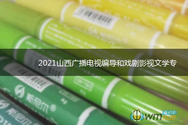 2021山西广播电视编导和戏剧影视文学专业统考时间 什么时候考试