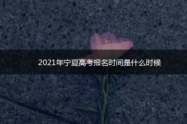 2021年宁夏高考报名时间是什么时候