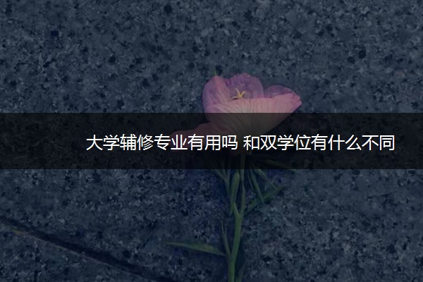 大学辅修专业有用吗 和双学位有什么不同