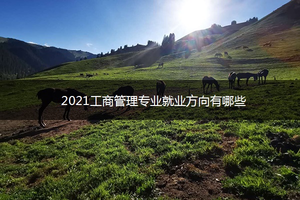 2021工商管理专业就业方向有哪些