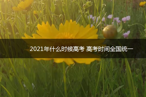 2021年什么时候高考 高考时间全国统一吗