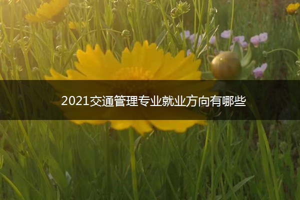 2021交通管理专业就业方向有哪些