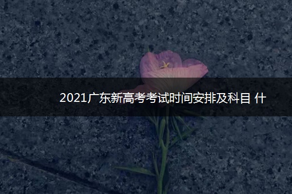 2021广东新高考考试时间安排及科目 什么时候高考