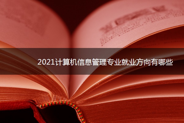 2021计算机信息管理专业就业方向有哪些