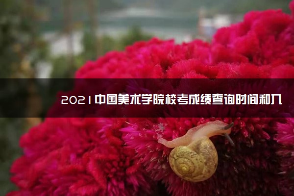 2021中国美术学院校考成绩查询时间和入口 什么时候查分