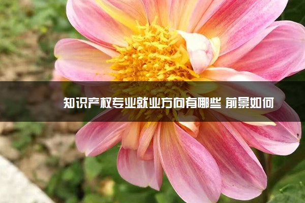 知识产权专业就业方向有哪些 前景如何