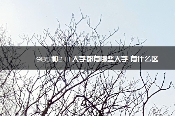 985和211大学都有哪些大学 有什么区别