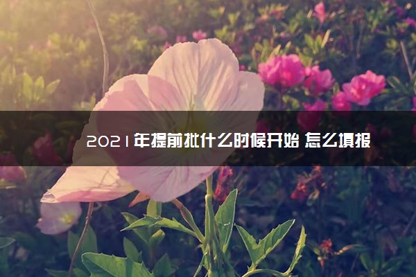 2021年提前批什么时候开始 怎么填报