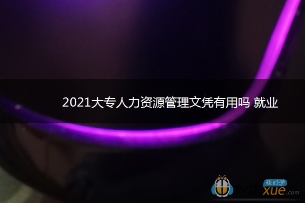 2021大专人力资源管理文凭有用吗 就业前景如何