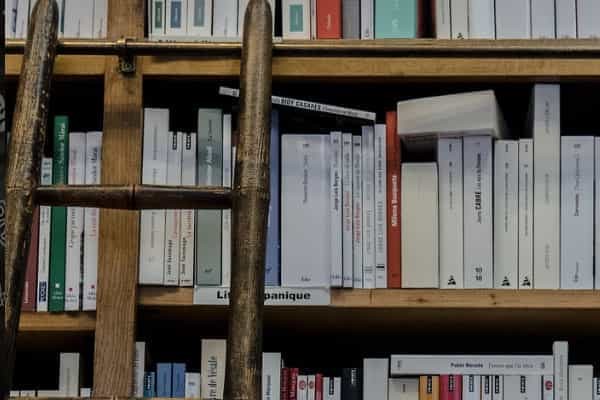 2025黑龙江物化生597分左右能上什么大学 可以报考的院校名单