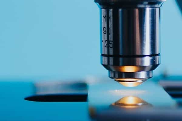 2025年505分能考机器人工程专业吗 505分机器人工程专业大学推荐