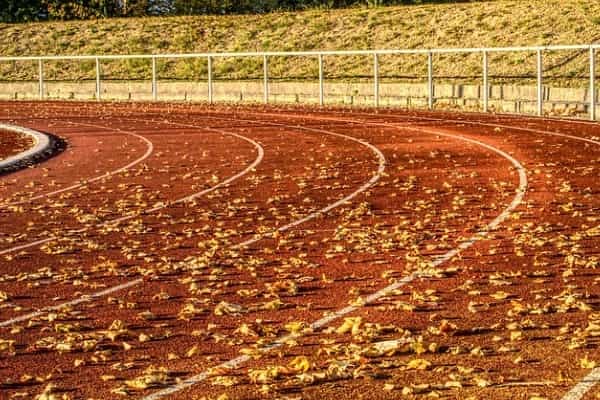 四川电影电视学院2024在山东录取分数线是多少 最低282分/最高494分