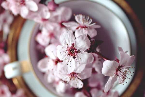 贵州省2025年普通高校招生普通类本科批录取结束