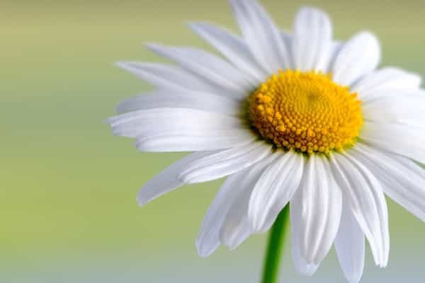 2026各省美术生448分左右可上什么院校？448分最好30所学校能报几本大学