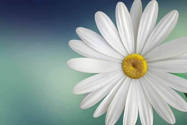 2026河北高考多少分能上甘肃建筑职业技术学院及专业？最低347分附录取分数线