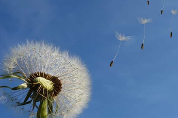 2025荆州职业技术学院在福建各个专业录取分数线及位次 附招生计划学费