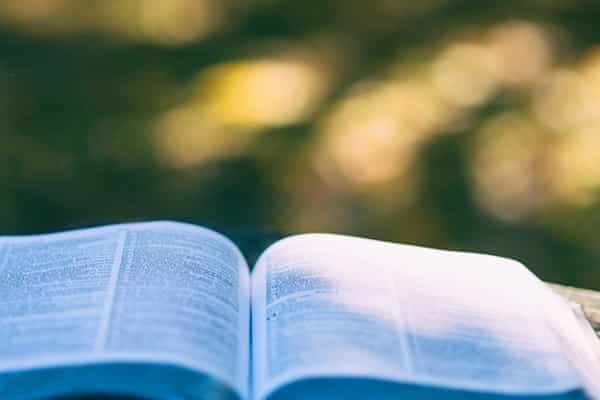 黑龙江哪些大学招生纳米材料与技术专业及选科要求 共4所高校和开设学校推荐（2026参考）