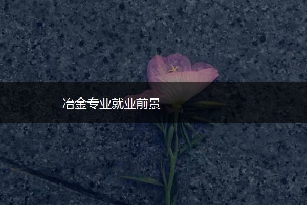 冶金专业就业前景