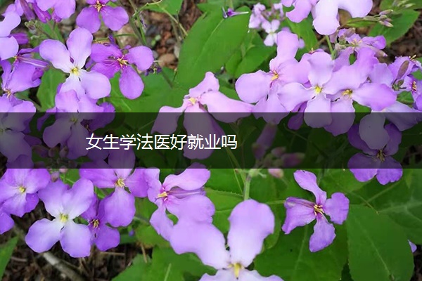 女生学法医好就业吗