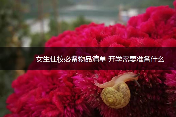 女生住校必备物品清单 开学需要准备什么