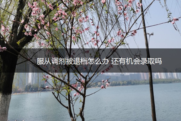 服从调剂被退档怎么办 还有机会录取吗