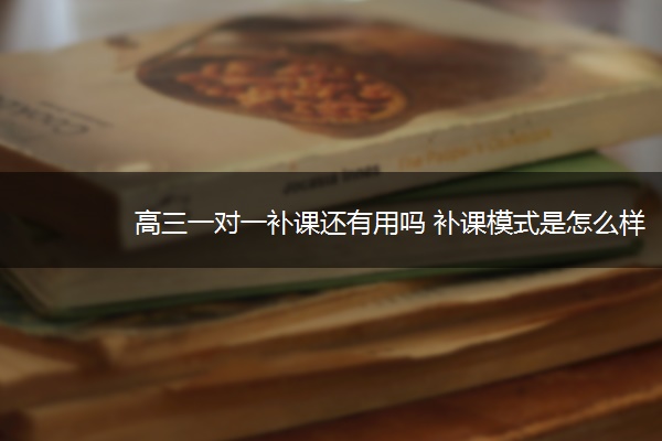 高三一对一补课还有用吗 补课模式是怎么样的