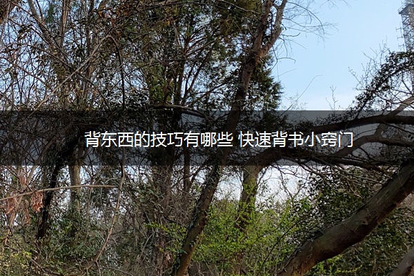 背东西的技巧有哪些 快速背书小窍门