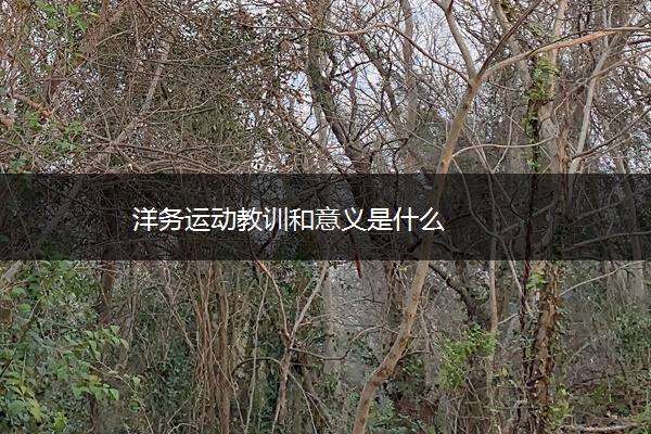 洋务运动教训和意义是什么