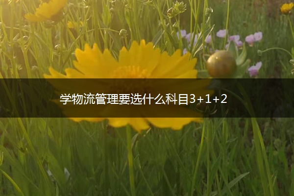 学物流管理要选什么科目3+1+2