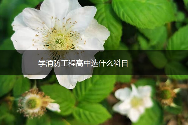 学消防工程高中选什么科目