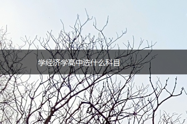 学经济学高中选什么科目