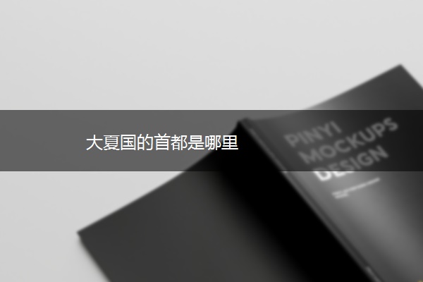 大夏国的首都是哪里