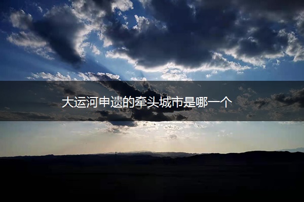 大运河申遗的牵头城市是哪一个