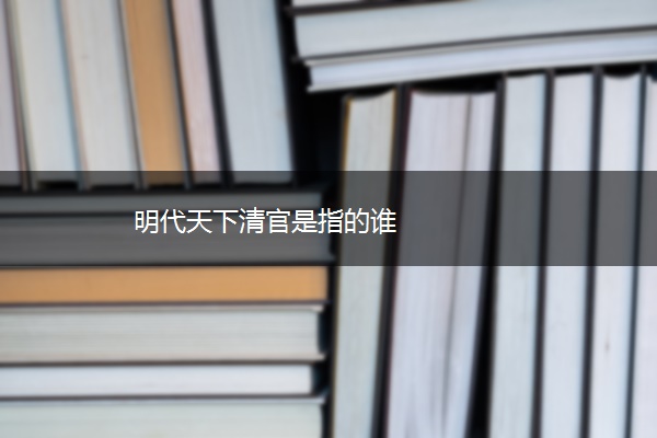 明代天下清官是指的谁