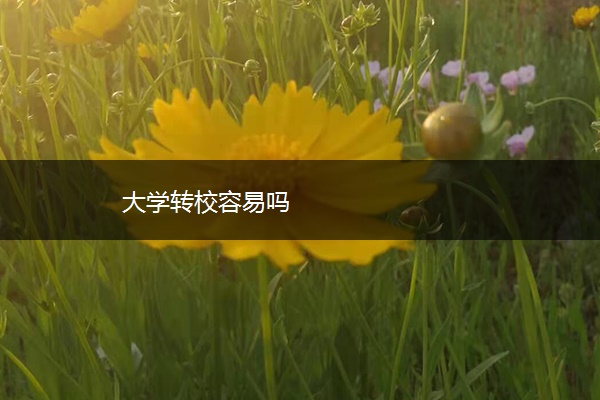 大学转校容易吗
