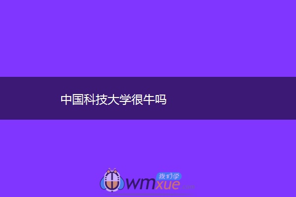 中国科技大学很牛吗