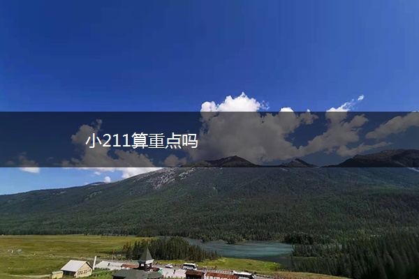 小211算重点吗