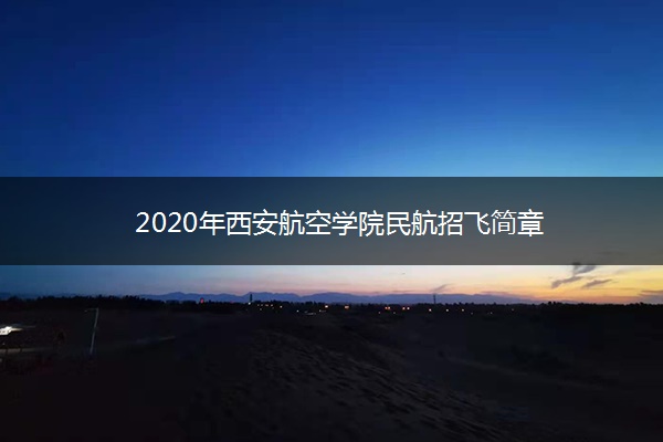 2020年西安航空学院民航招飞简章