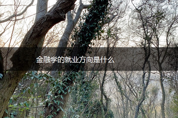 金融学的就业方向是什么
