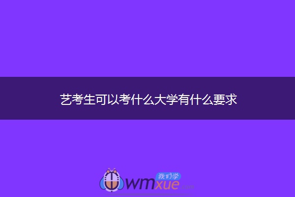 艺考生可以考什么大学有什么要求