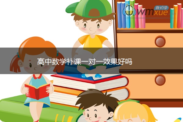 高中数学补课一对一效果好吗
