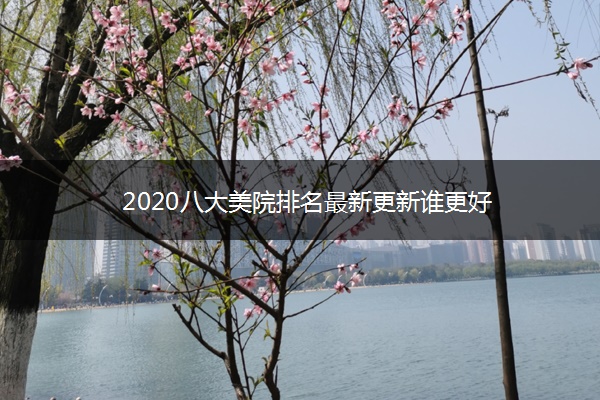 2020八大美院排名最新更新谁更好