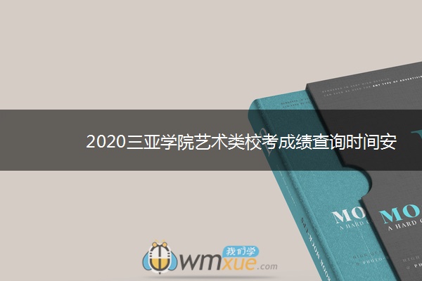 2020三亚学院艺术类校考成绩查询时间安排
