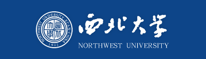 2020西北大学艺术类校考成绩查询时间