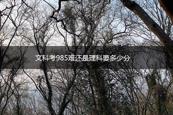 文科考985难还是理科要多少分